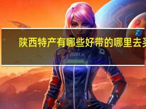 陕西特产有哪些好带的哪里去买（陕西特产有哪些吃的）
