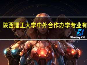 陕西理工大学中外合作办学专业有哪些