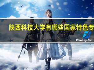 陕西科技大学有哪些国家特色专业