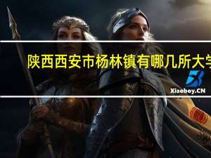 陕西西安市杨林镇有哪几所大学