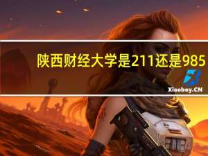 陕西财经大学是211还是985