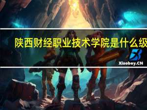陕西财经职业技术学院是什么级别