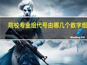 院校专业组代号由哪几个数字组成