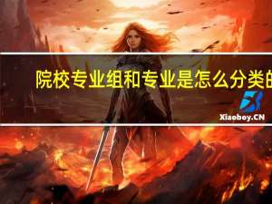院校专业组和专业是怎么分类的