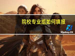 院校专业组如何填报