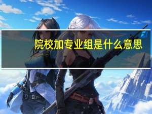 院校加专业组是什么意思