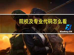 院校及专业代码怎么看