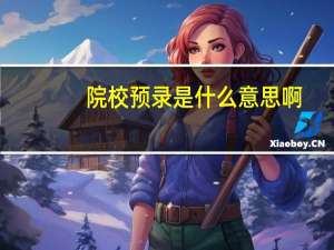 院校预录是什么意思啊
