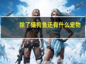 除了猫狗鱼还有什么宠物