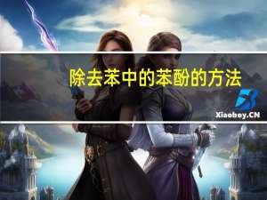 除去苯中的苯酚的方法