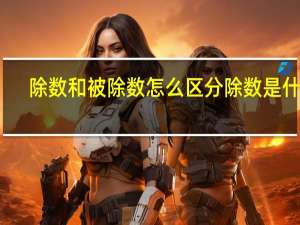 除数和被除数怎么区分 除数是什么