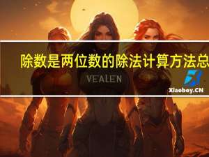 除数是两位数的除法计算方法总结