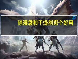 除湿袋和干燥剂哪个好用