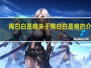 陶白白是啥 关于陶白白是啥的介绍