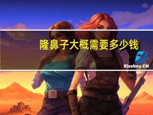 隆鼻子大概需要多少钱(隆鼻手术的价钱是多少那)