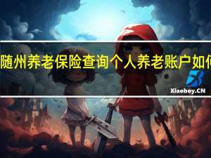 随州养老保险查询 个人养老账户如何查询
