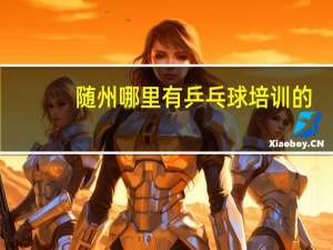 随州哪里有乒乓球培训的