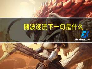 随波逐流下一句是什么