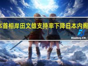 随着日本首相岸田文雄支持率下降日本内阁批准额外预算