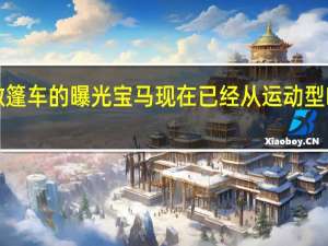 随着BMW2系敞篷车的曝光宝马现在已经从运动型MSport包中脱颖而出