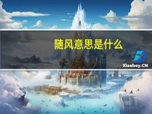 随风意思是什么