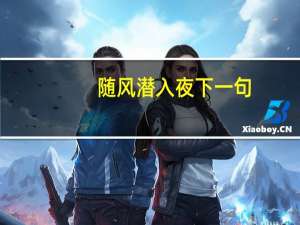 随风潜入夜下一句（随风潜入夜）