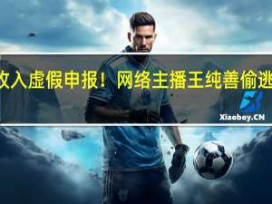 隐匿收入虚假申报！网络主播王纯善偷逃税被罚653.61万 到底什么情况嘞