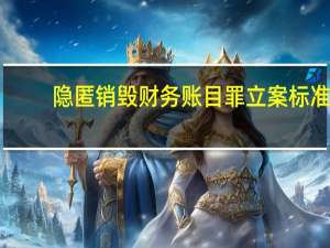 隐匿销毁财务账目罪立案标准