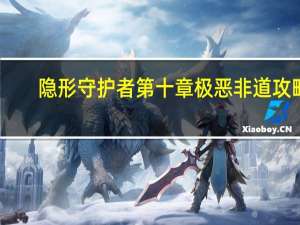 隐形守护者第十章极恶非道攻略