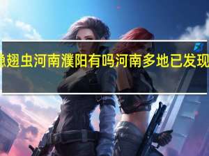 隐翅虫河南濮阳有吗 河南多地已发现隐翅虫