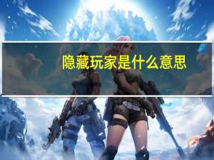隐藏玩家是什么意思
