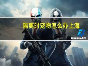 隔离时宠物怎么办上海