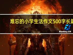 难忘的小学生活作文500字长篇（难忘的小学生活作文500字）