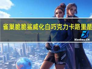 雀巢 脆脆鲨威化白巧克力卡路里是多少