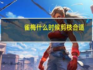 雀梅什么时候剪枝合适