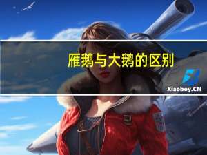 雁鹅与大鹅的区别
