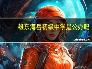 雄东海岳初级中学是公办吗