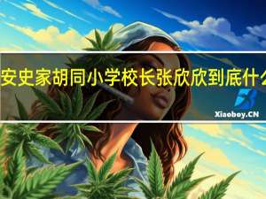 雄安史家胡同小学校长张欣欣 到底什么情况嘞