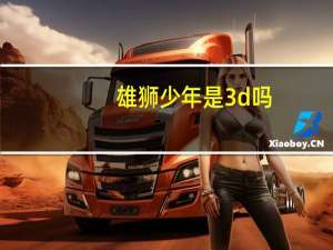 雄狮少年是3d吗