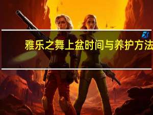 雅乐之舞上盆时间与养护方法