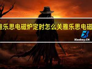 雅乐思电磁炉定时怎么关 雅乐思电磁炉维修