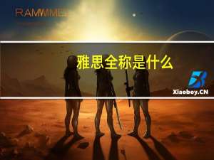 雅思全称是什么