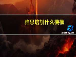 雅思培訓什么機構(gòu)好