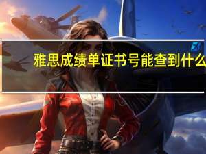 雅思成绩单证书号能查到什么