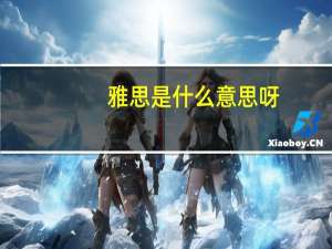 雅思是什么意思呀