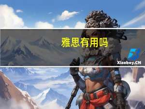雅思有用吗