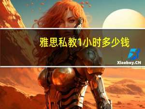 雅思私教1小时多少钱