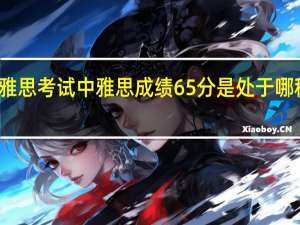 雅思考试中雅思成绩65分是处于哪种水平
