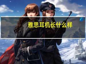 雅思耳机长什么样