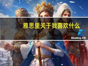 雅思里关于我喜欢什么